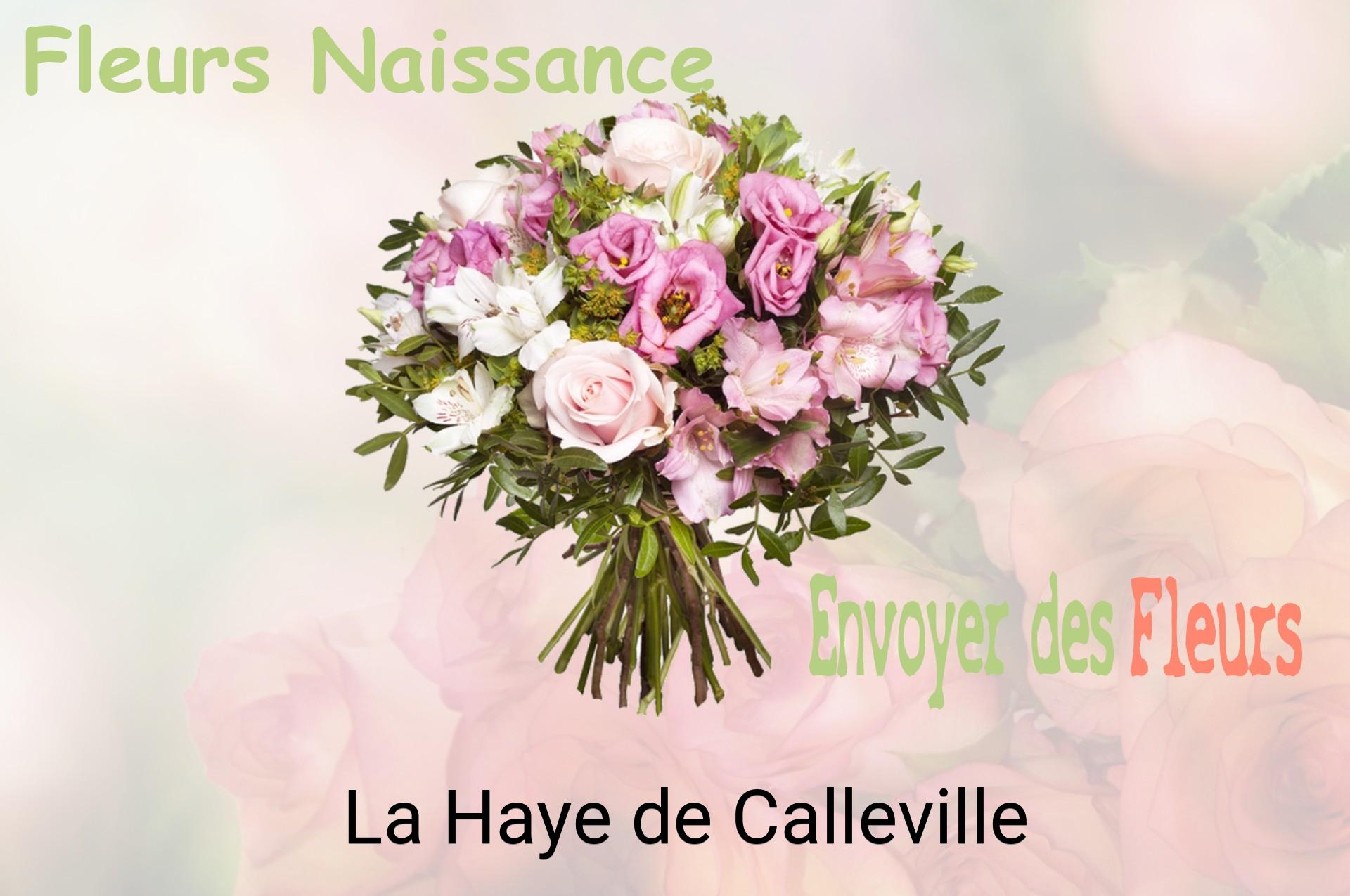 Bouquet de fleurs de naissance livré à La Haye-de-Calleville