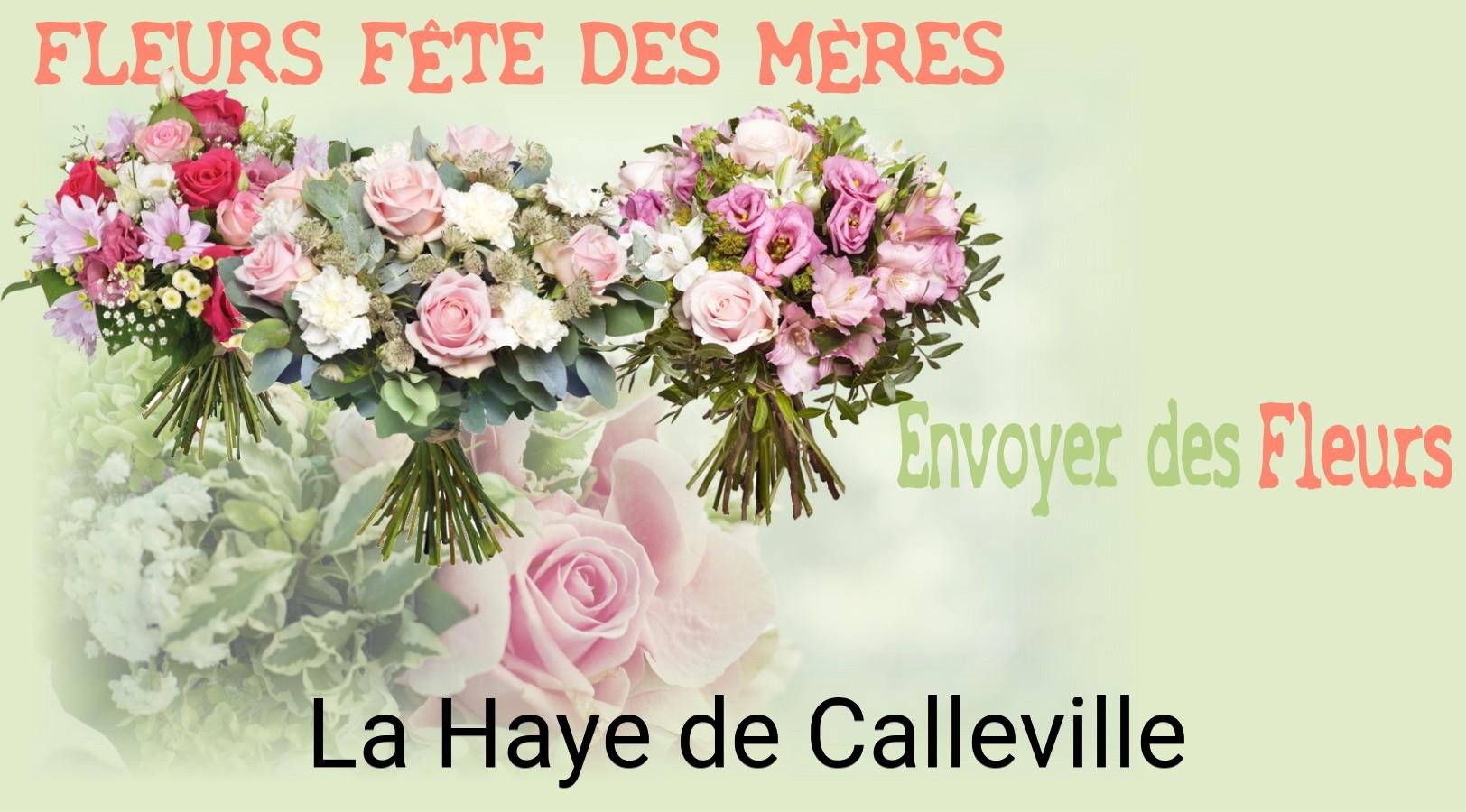 Bouquet de Fête des Mères livré à La Haye-de-Calleville